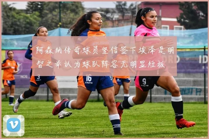 阿森纳传奇球员坚信签下埃泽是明智之举认为球队阵容无明显短板