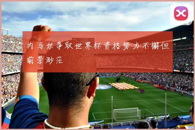 内马尔争取世界杯资格努力不懈但前景渺茫