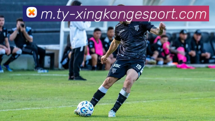 App Interface Preview